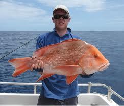 Fish - imagesjpegz.jpeg